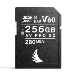 Angelbird scheda AV Pro SD V60 256GB
