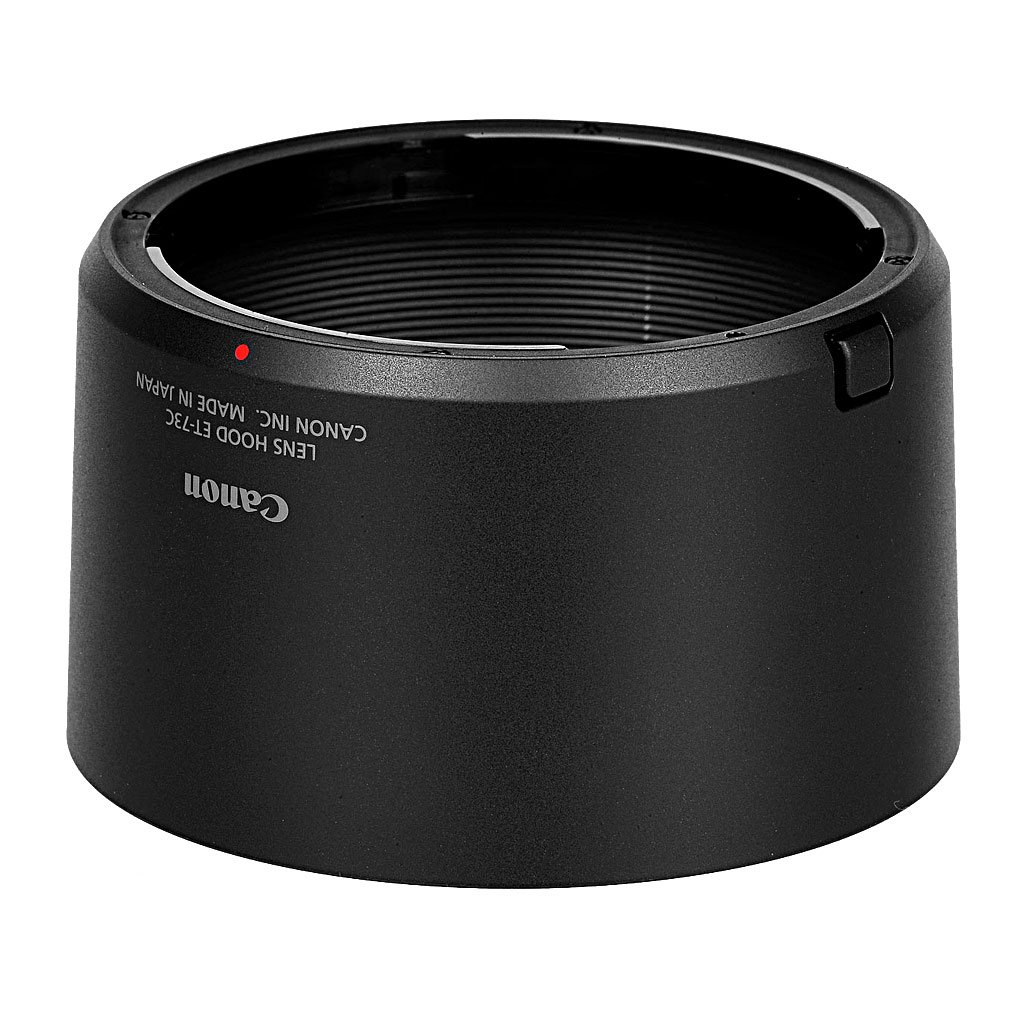 Canon RF 100 mm f/2.8 L Macro IS USM - Garanzia Canon Italia 2 anni - immagine 11