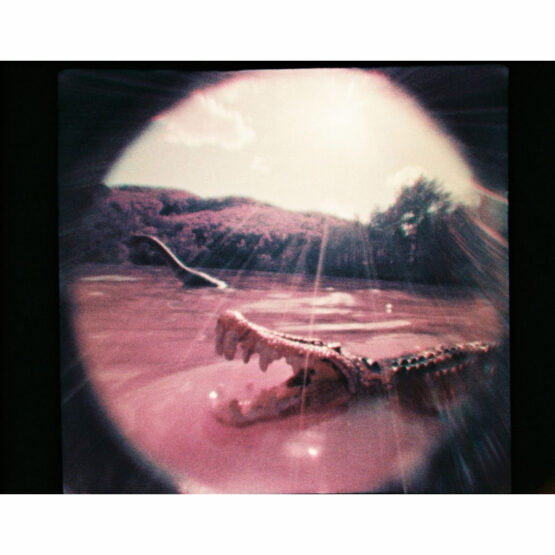 Lomography Fisheye Baby 110 - fotocamera analogica 110 - immagine 15