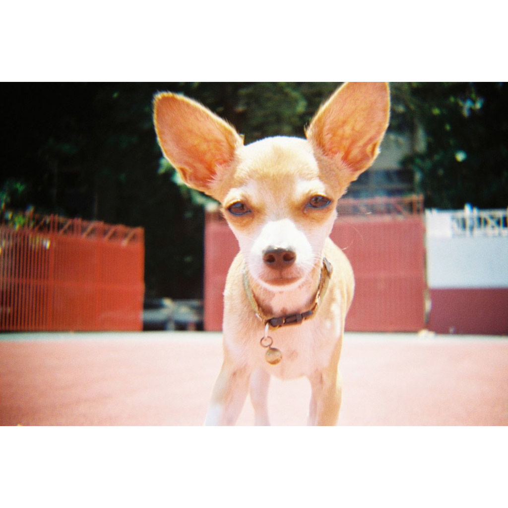 Lomography Konstruktor F - fotocamera analogica 35mm - immagine 15