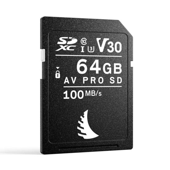 Angelbird scheda AV Pro SD V30 64GB