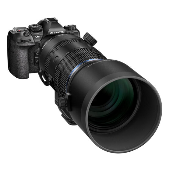 OM System M.ZUIKO Digital ED 150-600mm f/5.0-6.3 IS – gar. POLYPHOTO Italia - immagine 8