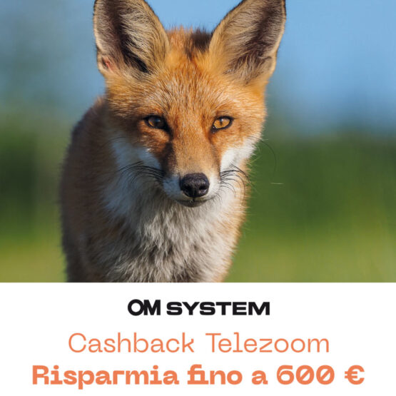 OM System M.Zuiko Digital ED 300mm f/4 PRO - CASHBACK € 300 - gar. POLYPHOTO Italia 2 anni - immagine 2