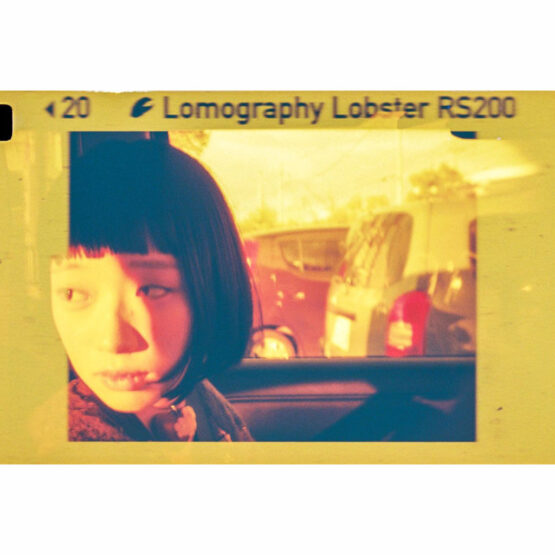 Lomography Lomomatic 110 Golden Gate - fotocamera analogica 110 - immagine 10