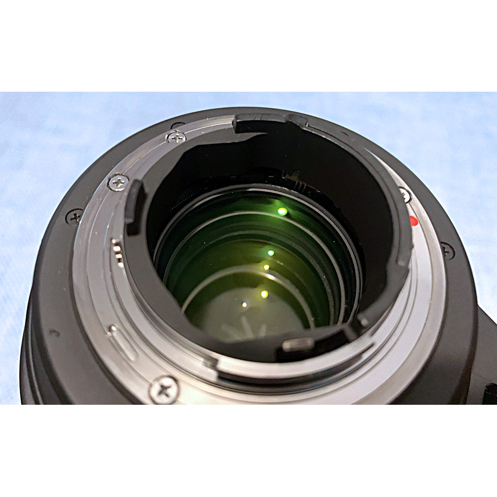 Sigma 120-300mm f/2.8 APO EX DG OS HSM + duplicatore 2X - USATO - immagine 8