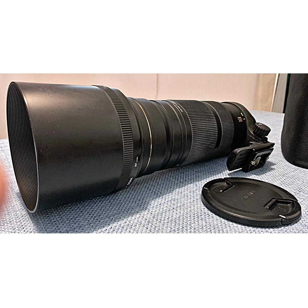 Sigma 120-300mm f/2.8 APO EX DG OS HSM + duplicatore 2X - USATO - immagine 9