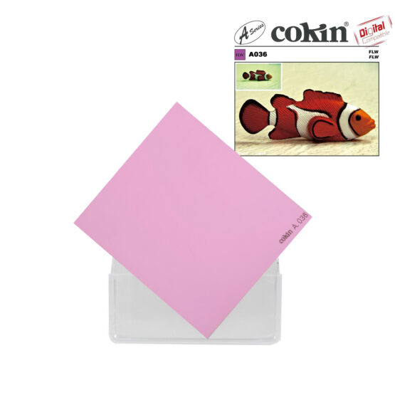 Cokin A036 FL-W filtro di conversione colore
