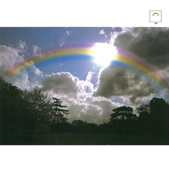 Cokin A195 filtro arcobaleno - immagine 5