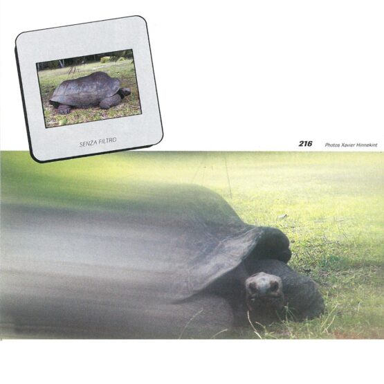 Cokin A216 filtro speed - immagine 3