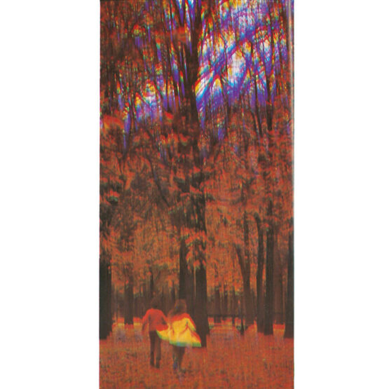 Cokin A219 filtro Prisma - immagine 4
