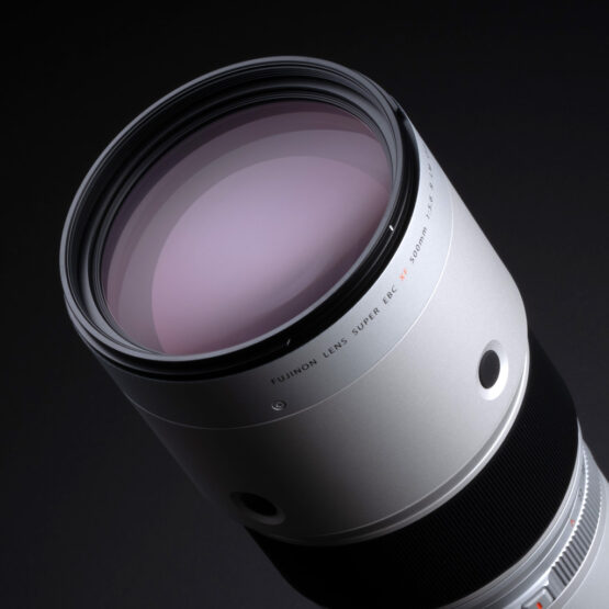 Fujifilm XF 500mm f/5.6 R LM OIS WR - garanzia FUJIFILM ITALIA 2 anni - immagine 12