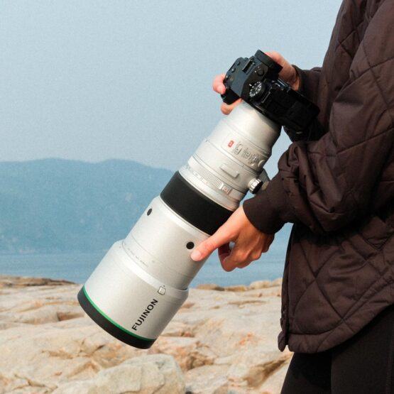 Fujifilm XF 500mm f/5.6 R LM OIS WR - garanzia FUJIFILM ITALIA 2 anni - immagine 13