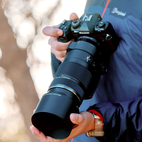 OM System M.Zuiko Digital ED 100-400mm f/5-6,3 IS II – gar. POLYPHOTO Italia - immagine 12