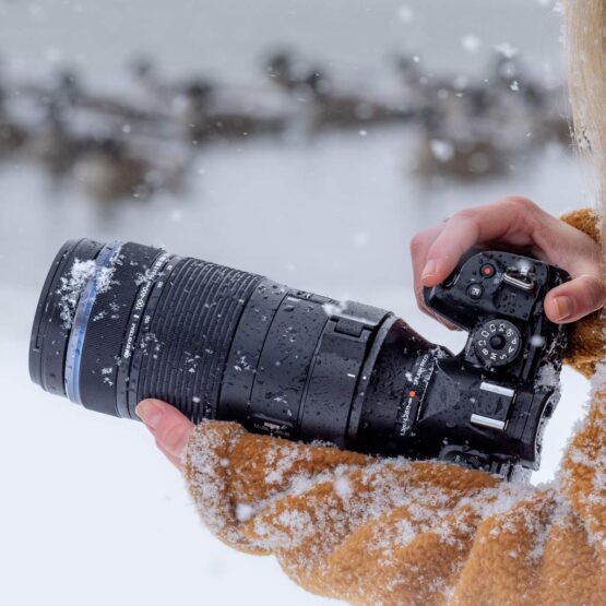 OM System M.Zuiko Digital ED 100-400mm f/5-6,3 IS II – gar. POLYPHOTO Italia - immagine 14