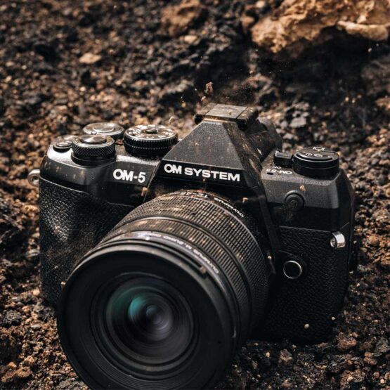 Om System OM-5 Mark II + 14-150mm II + SD 64GB - sabbia - CASHBACK € 150 - gar. POLYPHOTO Italia - immagine 15