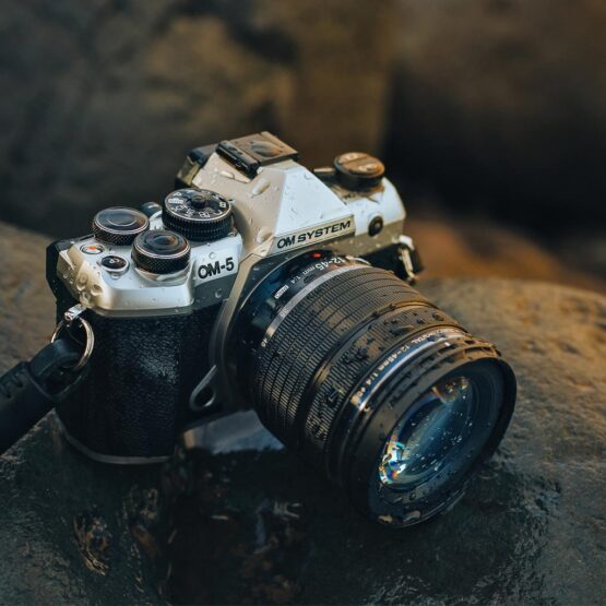 Om System OM-5 Mark II + 14-150mm II + SD 64GB - sabbia - CASHBACK € 150 - gar. POLYPHOTO Italia - immagine 16