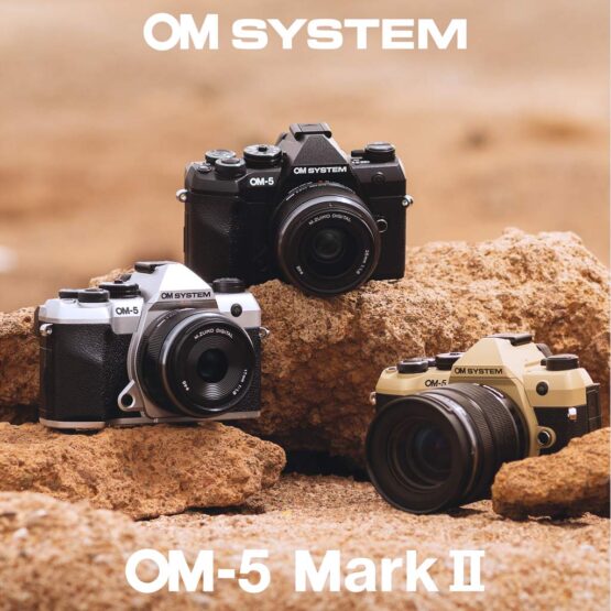 Om System OM-5 Mark II + 14-150mm II + SD 64GB - sabbia - CASHBACK € 150 - gar. POLYPHOTO Italia - immagine 19